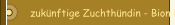 zukünftige Zuchthündin - Bion Bezdrevská Perla