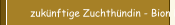 zukünftige Zuchthündin - Bion Bezdrevská Perla